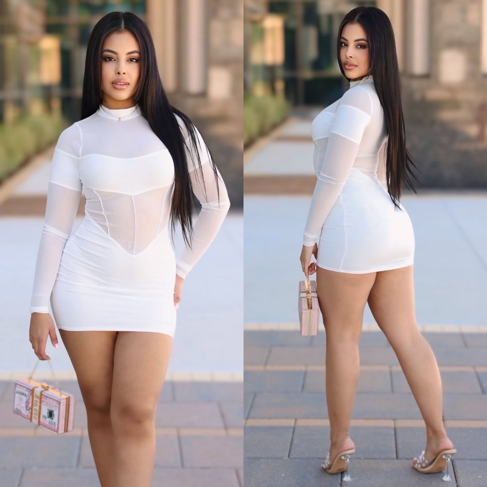 Winnie Mock Neck Mesh Long Sleeve Mini Dress - White